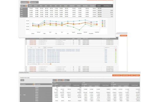 Controlling/Reporting